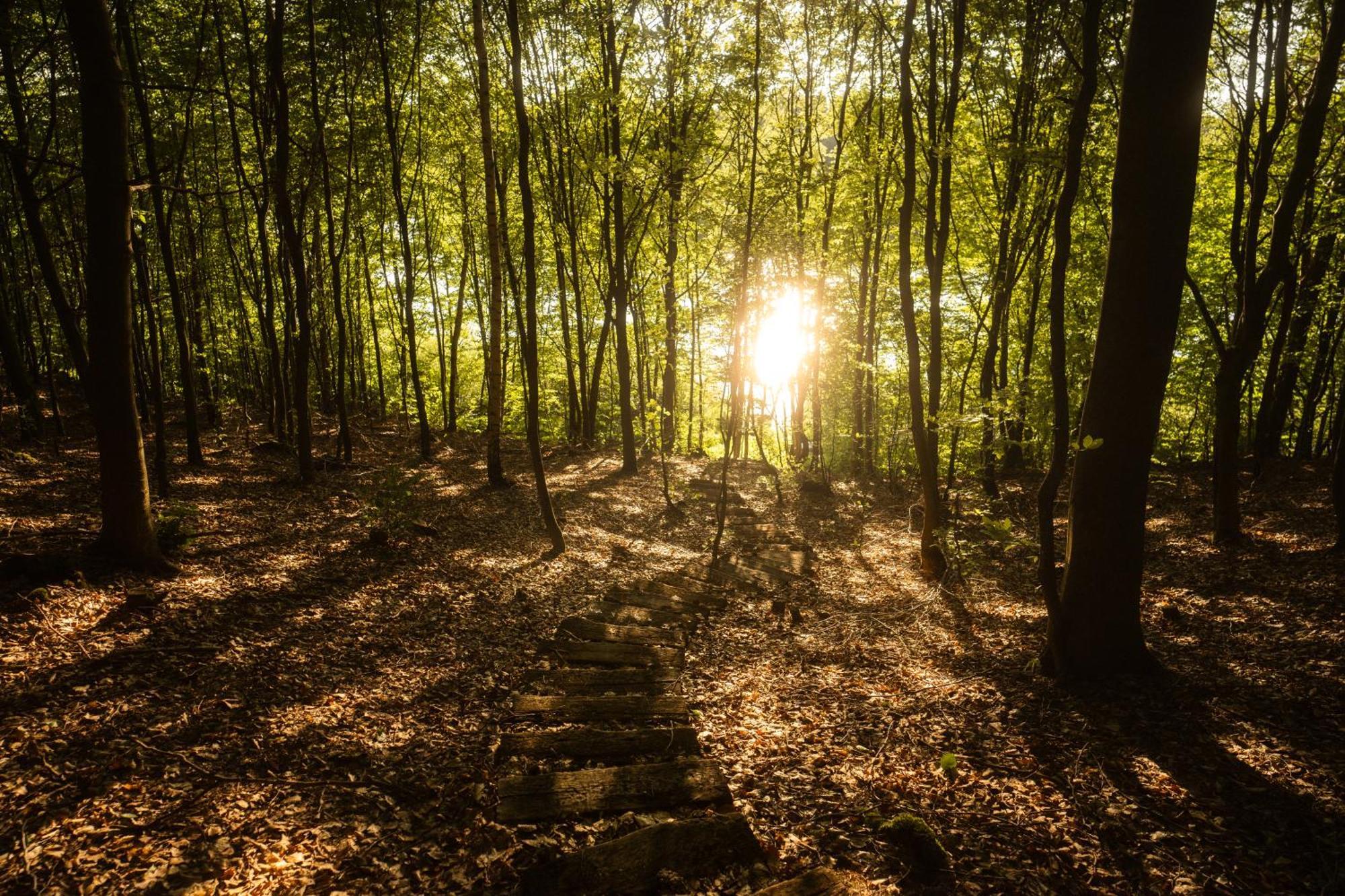 Domek Dla Pary Kaszuby Linia Brzegowa Jezioro Prywatny Las Roztoka  Exterior photo